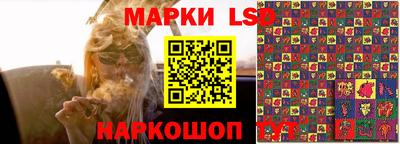 гидропоника Тара