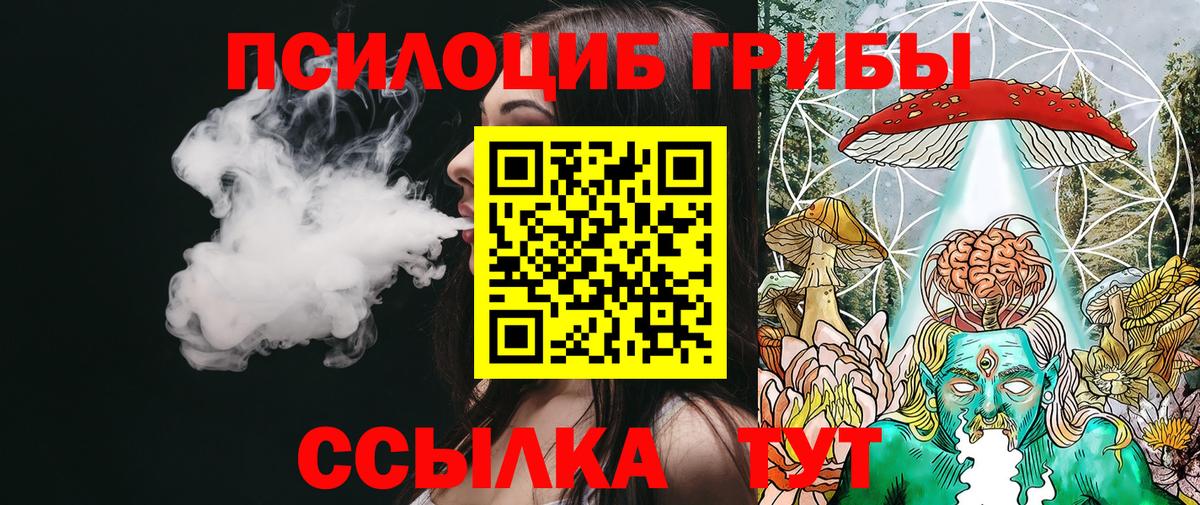 Павловский Посад  Псилоцибиновые грибы Psilocybe  Галлюциногенные грибы ЛСД  где купить наркоту  Вход с VPN 