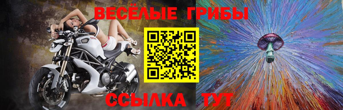 Псилоцибиновые грибы ЛСД Павловский Посад